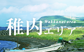 稚内エリア