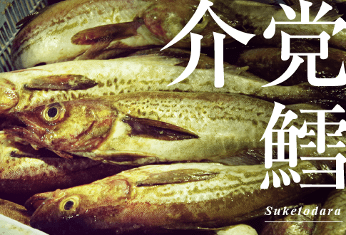 介党鱈