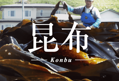 昆布