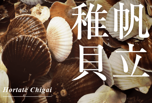 帆立稚貝