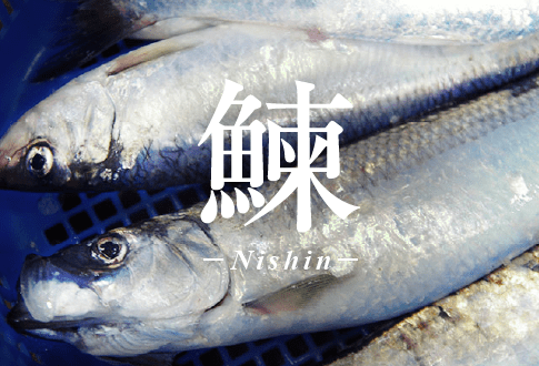鰊