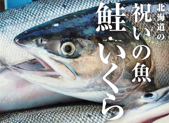 北海道　祝いの魚　鮭・いくら