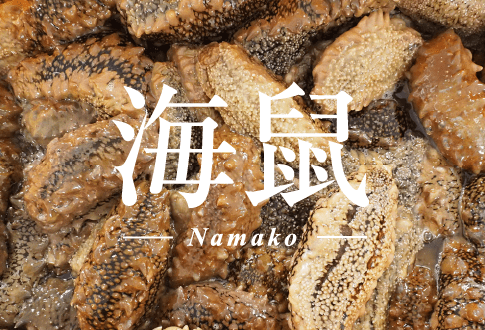 海鼠