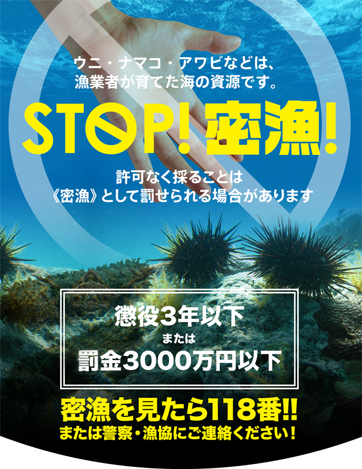 STOP！密漁！