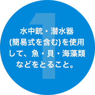 水中銃・潜水器（簡易式を含む）を使用して、魚・貝・海藻類などをとること。