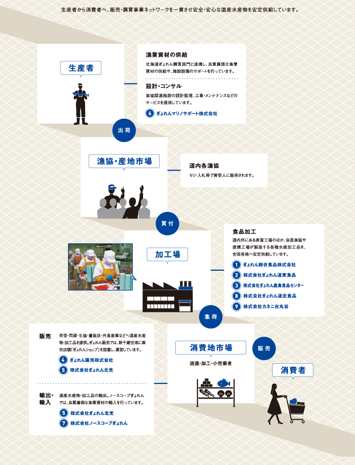 水産物の流通経路とぎょれんグループ各社の役割